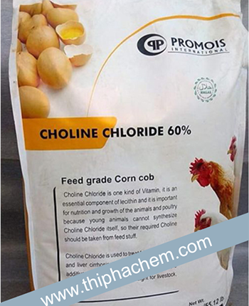 CHOLINE CHLORIDE, CHOLINE CHLORIDE 60%, L-Tryptophan, Zinc Oxide, L-Methionine, L-Lysine, L-Threonine, dinh dưỡng chăn nuôi, phụ gia chăn nuôi, nguyên liệu chăn nuôi,